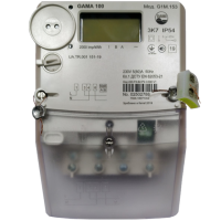 Счетчик GAMA100 G1М.153.220.F3.B2.P2.C300.V1 (5-80)