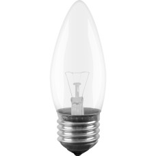 Лампа розжарювання ЛОН Іскра ДС 40W E27