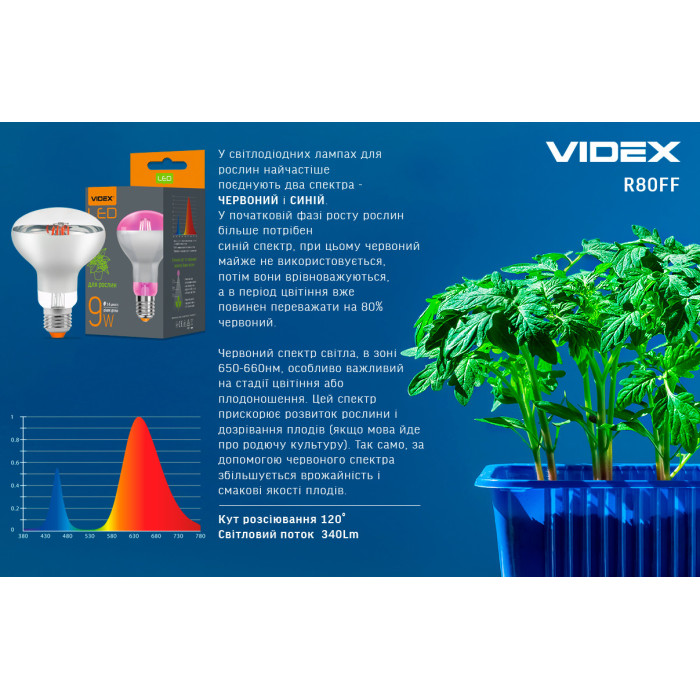 LED лампа VIDEX Filament R80FF 09W E27 1200K