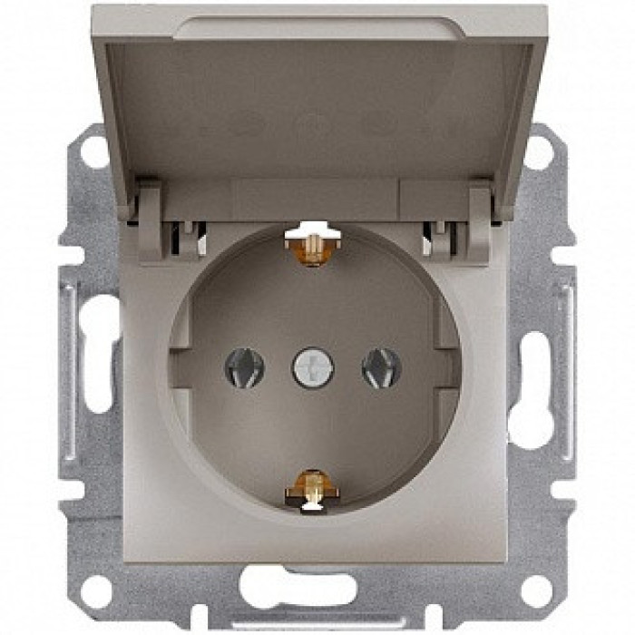 Розетка із заземленням кришкою Asfora Бронза Schneider Electric EPH3100169