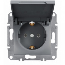 Розетка із заземленням кришкою Schneider Electric Asfora Сталь EPH3100162