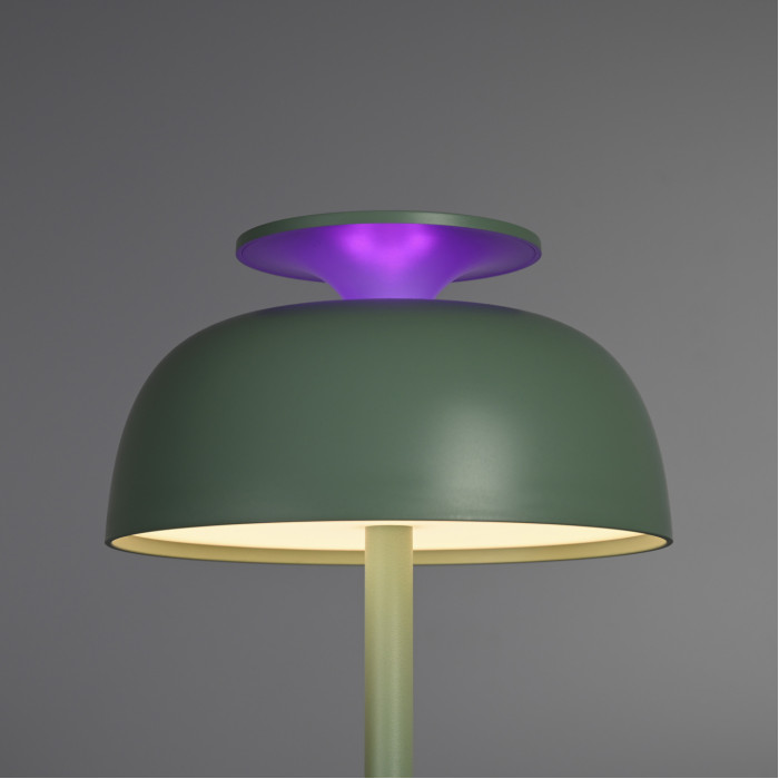 LED лампа настiльна з акумулятором VIDEX VL-TF24G 8W 4000K+RGB Green