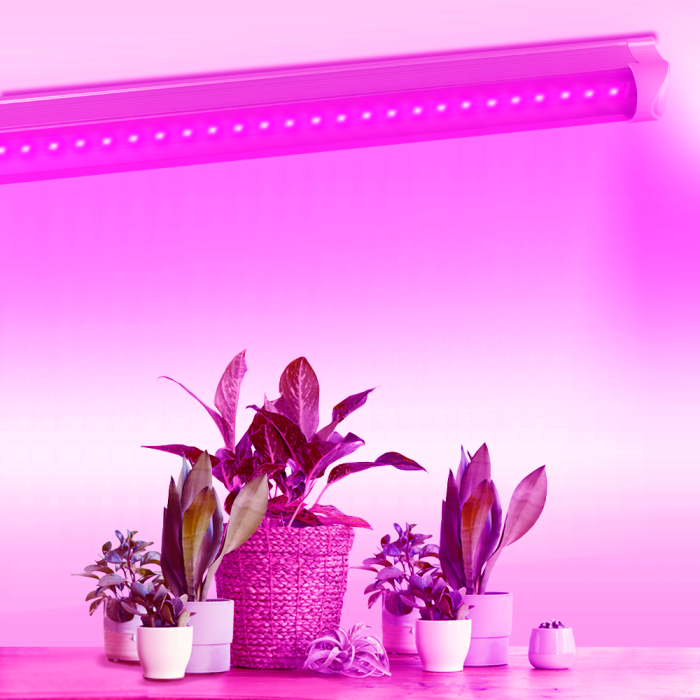 LED FITO світильник лінійний VIDEX T8 0,6М 10W