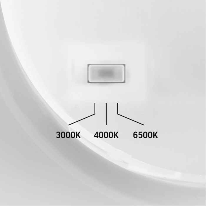 LED світильник настінний IP65 VIDEX WL03 12W 3000K-4000K-6500K Black
