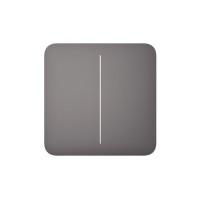 Кнопка для двухклавишного выключателя Ajax SoloButton (2-gang) Grey