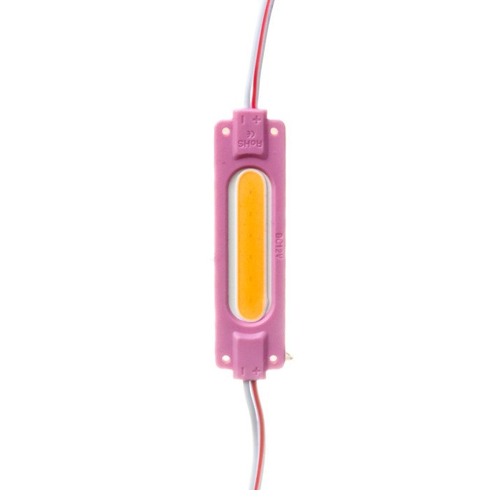 Модуль СОВ 12V рожевий 1led 2Вт овальний IP65