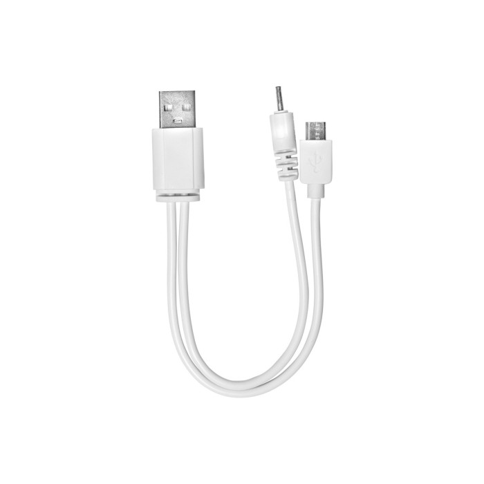 Аварийный светильник с аккумулятором DELUX REL-101 USB 4W 220lm 6500K 36LED