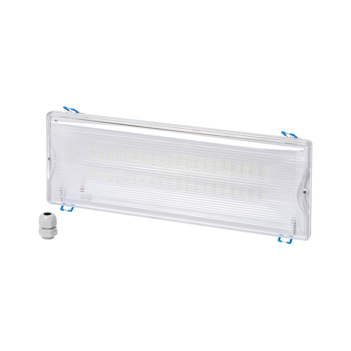 Аварийный светильник с аккумулятором DELUX REL-202 8W 700lm 6500K 40LED