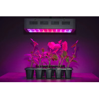 Фитолампы для Растений. Как выбрать и для чего нужно освещение для растений 2024